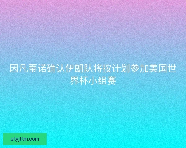 因凡蒂诺确认伊朗队将按计划参加美国世界杯小组赛