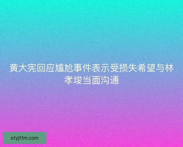 黄大宪回应尴尬事件表示受损失希望与林孝埈当面沟通